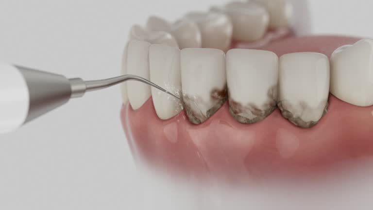 Reliable Dental contractor in Edmore, MI by Dentist Open Now